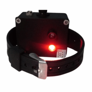 Kit Pulseira Eletrônica Biotec Foton